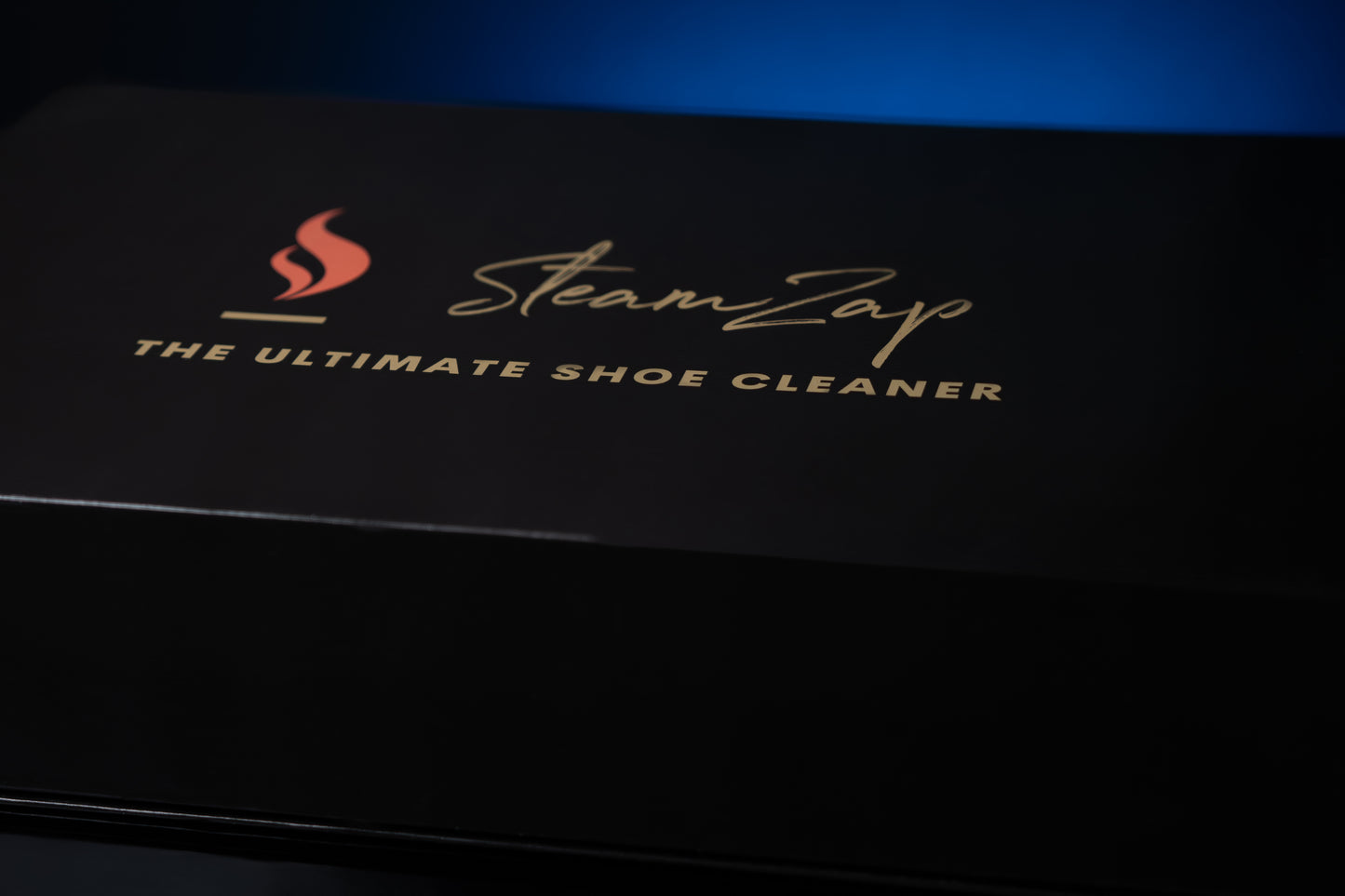 SteamZap Steam Cleaner