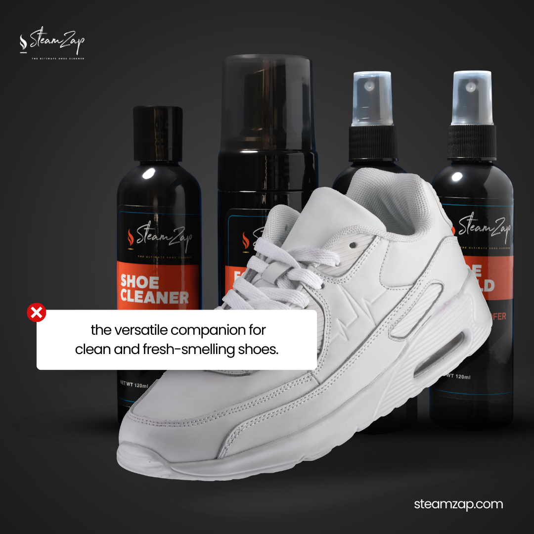 SteamZap Steam Cleaner and Cleaning Supplies